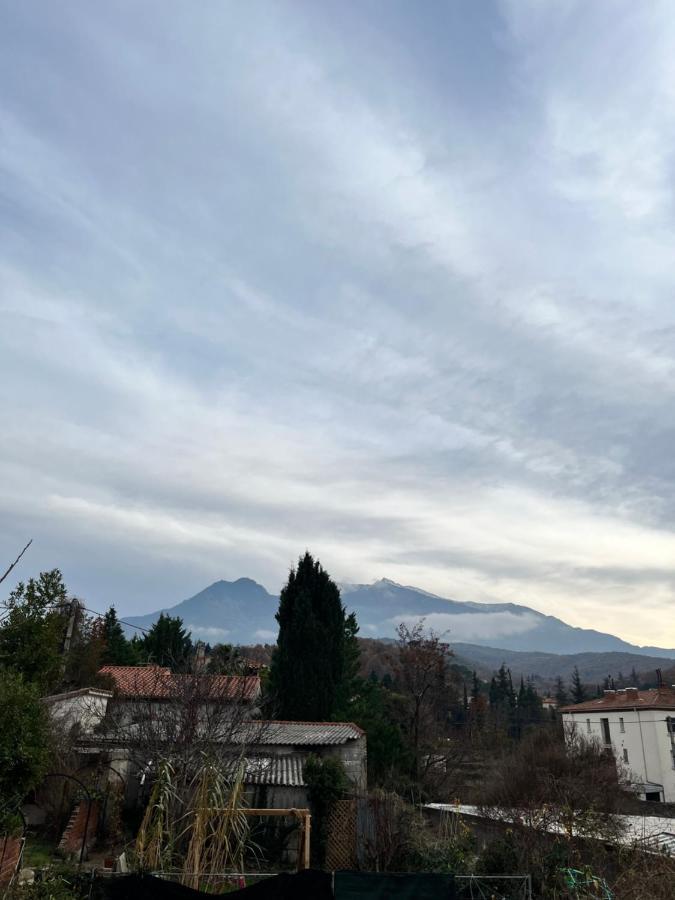 Le Cosy En Coeur De Ville Prades  Eksteriør bilde